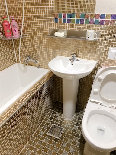 f:id:nefyou:20190223202009j:image