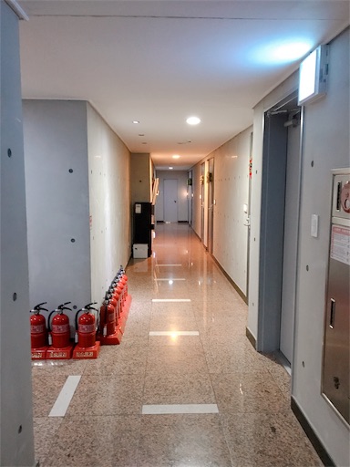 f:id:nefyou:20190223202018j:image