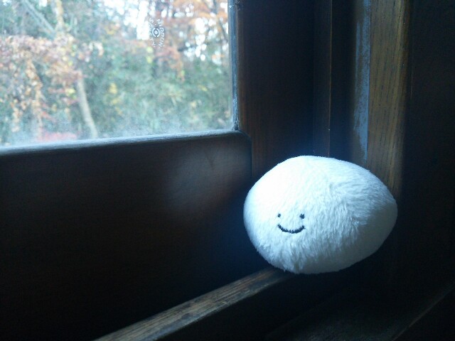 f:id:negi_a:20171204193910j:image f:id:negi_a:20171204193910j:image