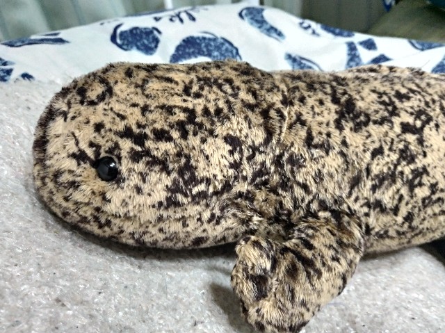 f:id:negi_a:20181231210240j:image