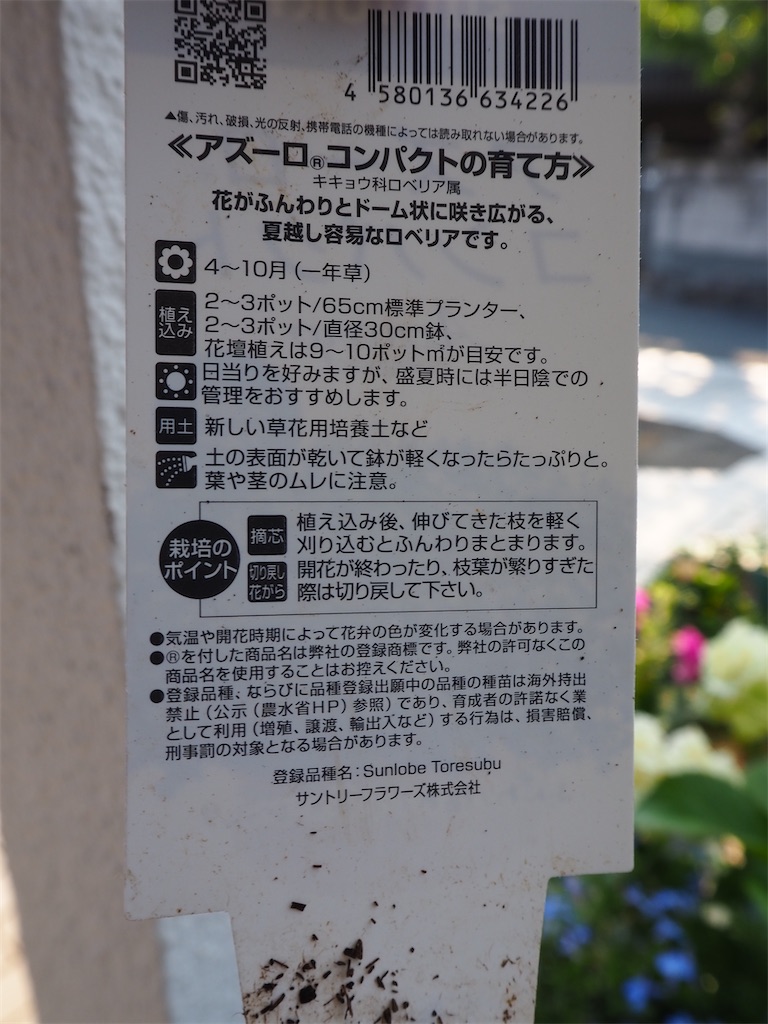 f:id:negimugimumumu:20230620162337j:image