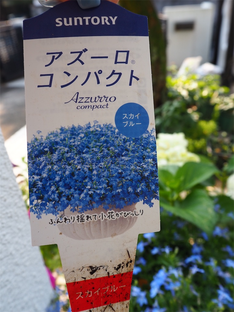f:id:negimugimumumu:20230620162341j:image