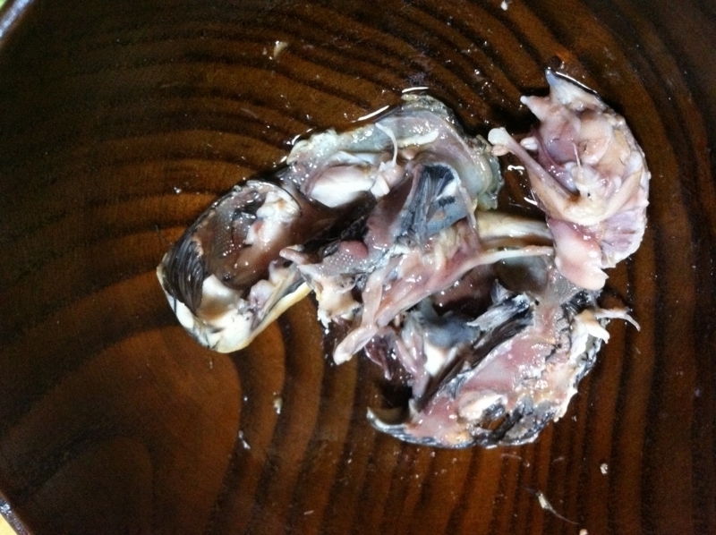 f:id:negineesan:20140603192521j:plain