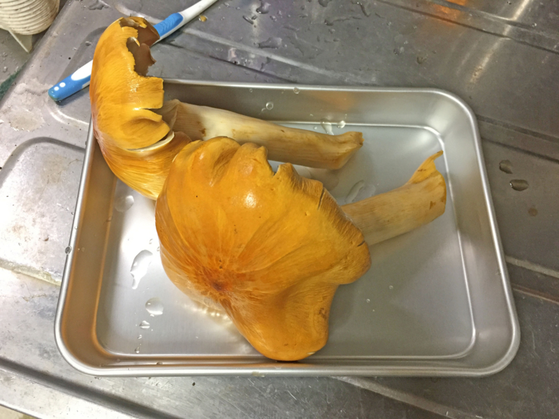 f:id:negineesan:20161029202314j:plain