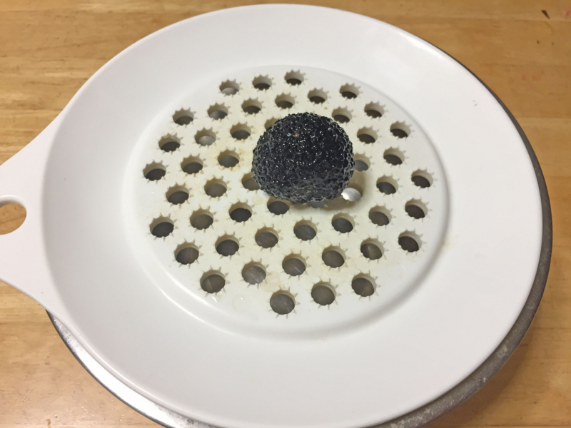 f:id:negineesan:20161029210043j:plain