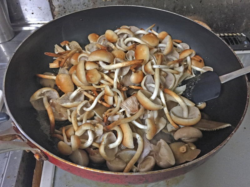 f:id:negineesan:20161029212517j:plain