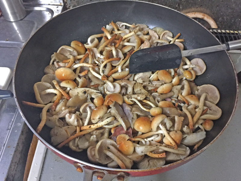 f:id:negineesan:20161029212732j:plain