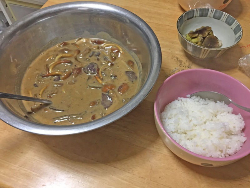 f:id:negineesan:20161029215635j:plain