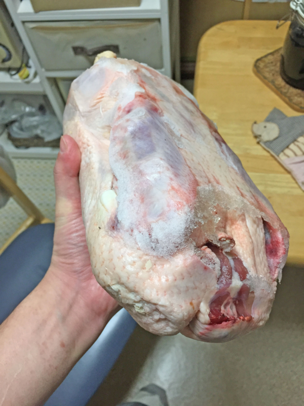 f:id:negineesan:20161124175154j:plain