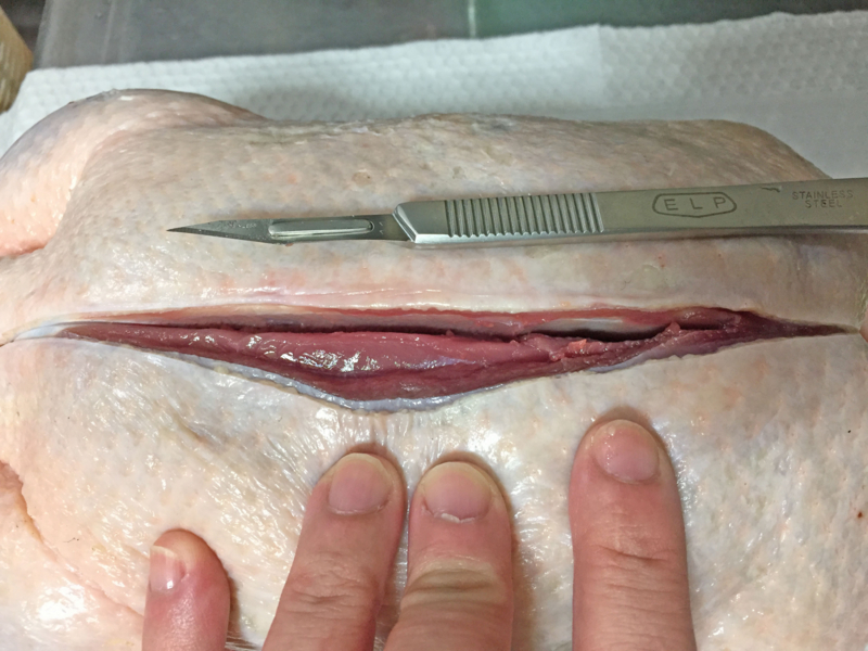 f:id:negineesan:20161124184108j:plain