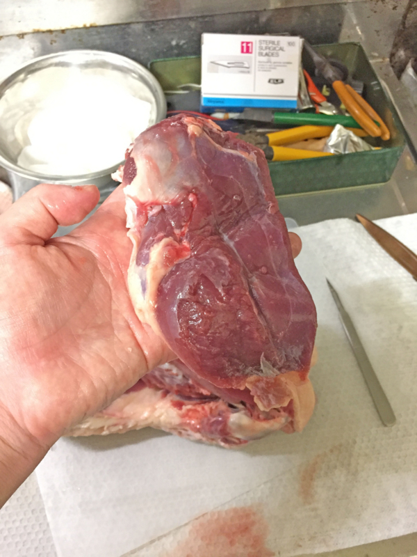 f:id:negineesan:20161124185710j:plain