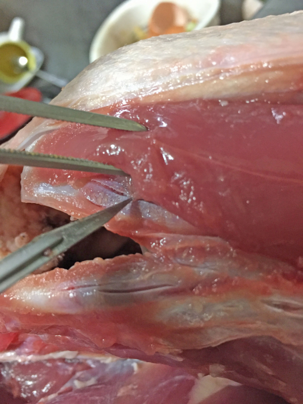 f:id:negineesan:20161124185913j:plain