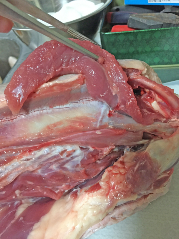 f:id:negineesan:20161124190238j:plain