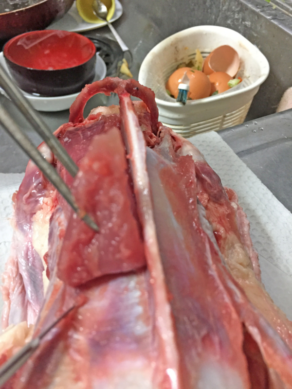 f:id:negineesan:20161124192125j:plain