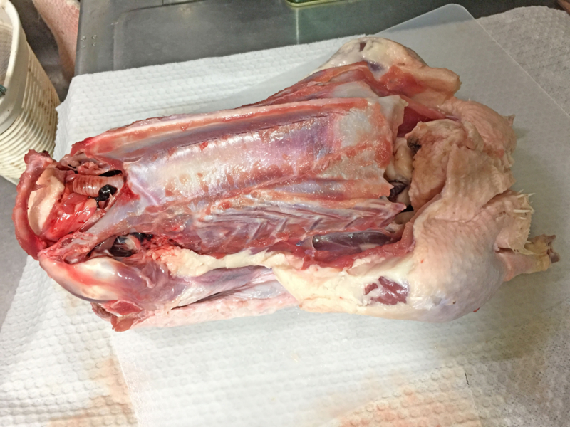 f:id:negineesan:20161124192428j:plain