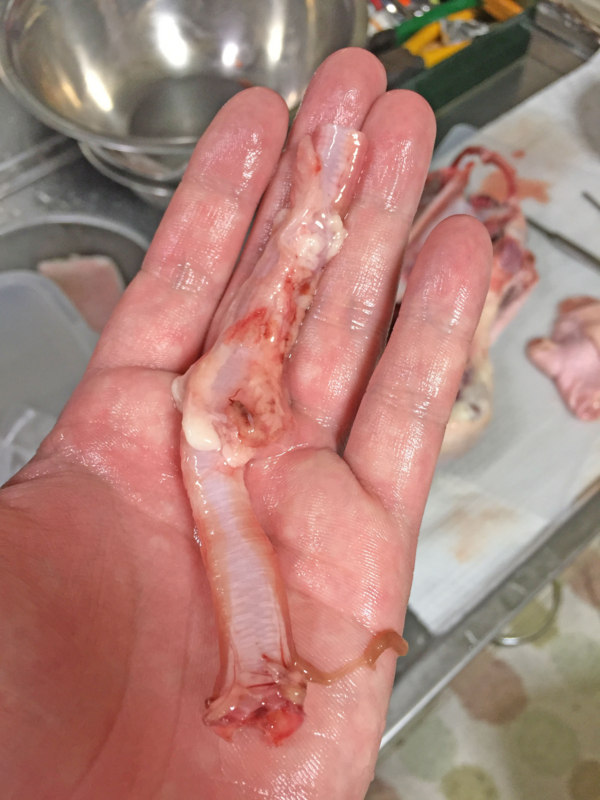 f:id:negineesan:20161124193926j:plain