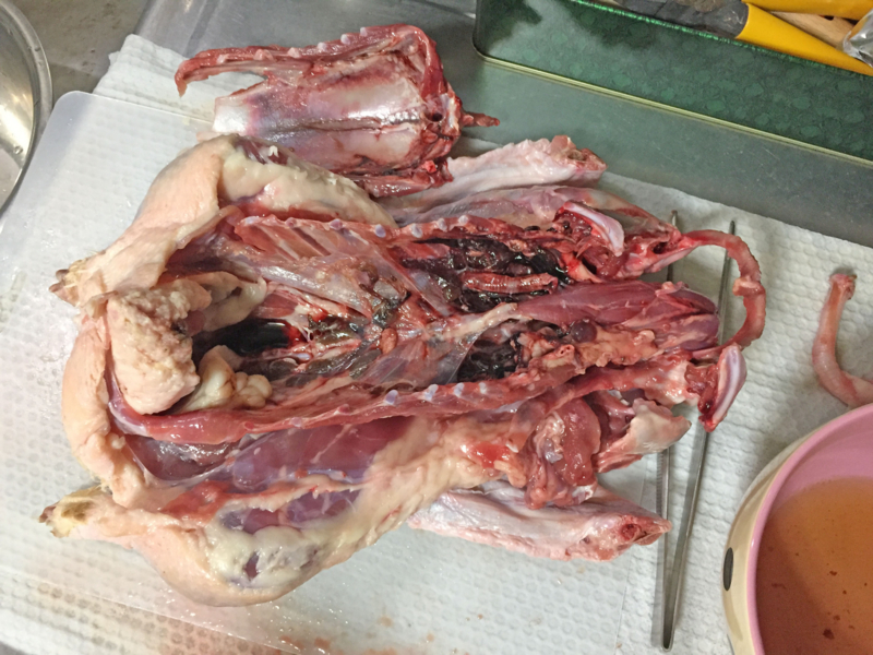 f:id:negineesan:20161124195714j:plain