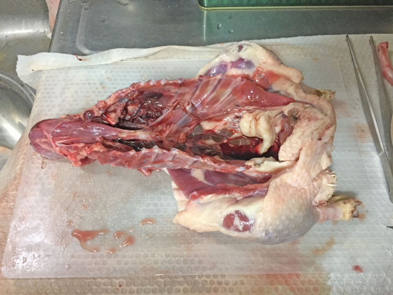 f:id:negineesan:20161124200434j:plain