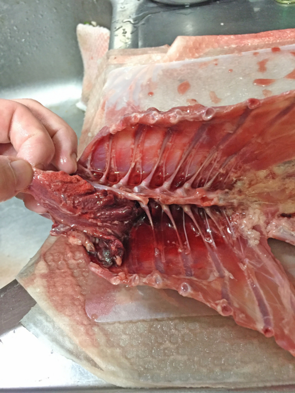 f:id:negineesan:20161124202706j:plain