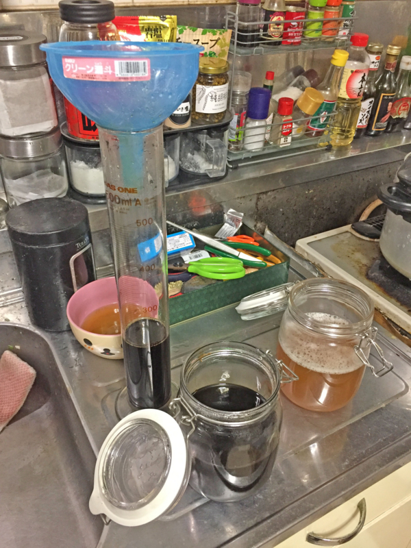 f:id:negineesan:20161124215817j:plain