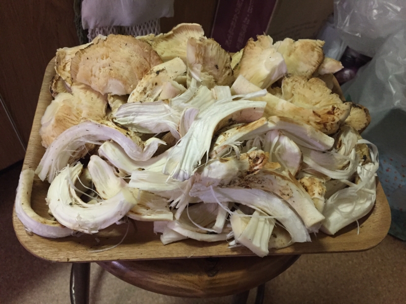 f:id:negineesan:20161217184530j:plain f:id:negineesan:20161217184530j:plain