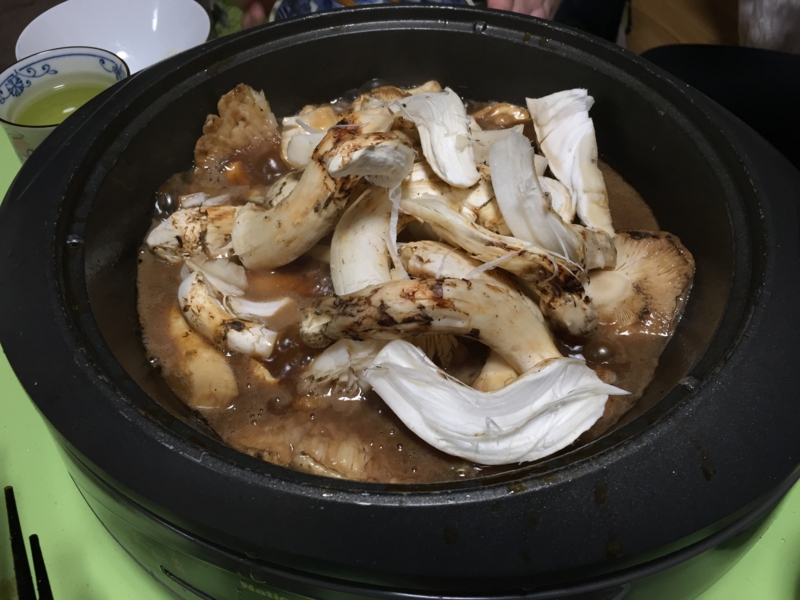 f:id:negineesan:20161217192824j:plain f:id:negineesan:20161217192824j:plain