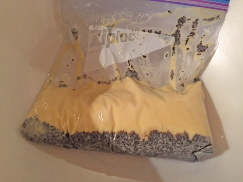 f:id:negineesan:20161218213011j:plain