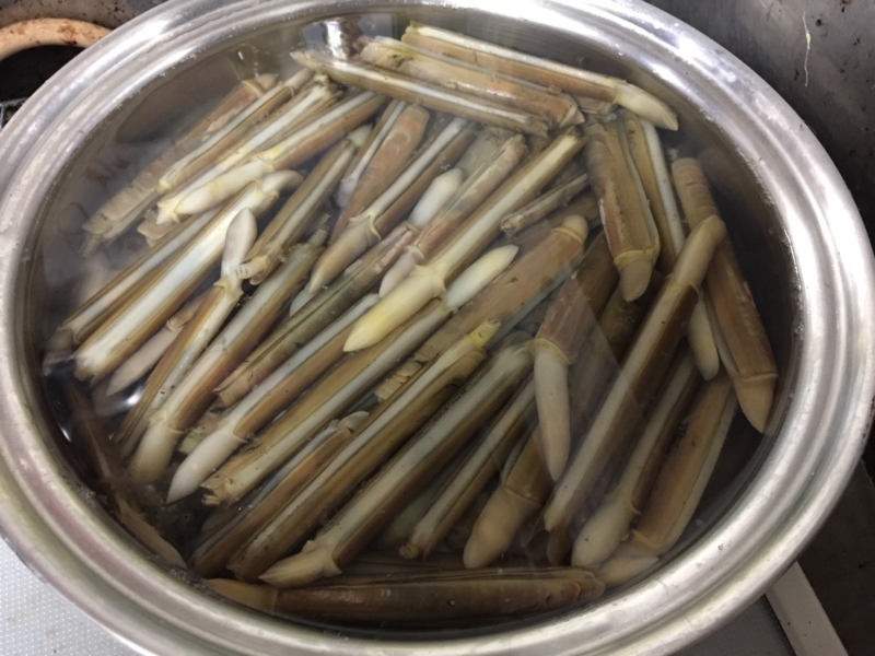 f:id:negineesan:20161231205023j:plain