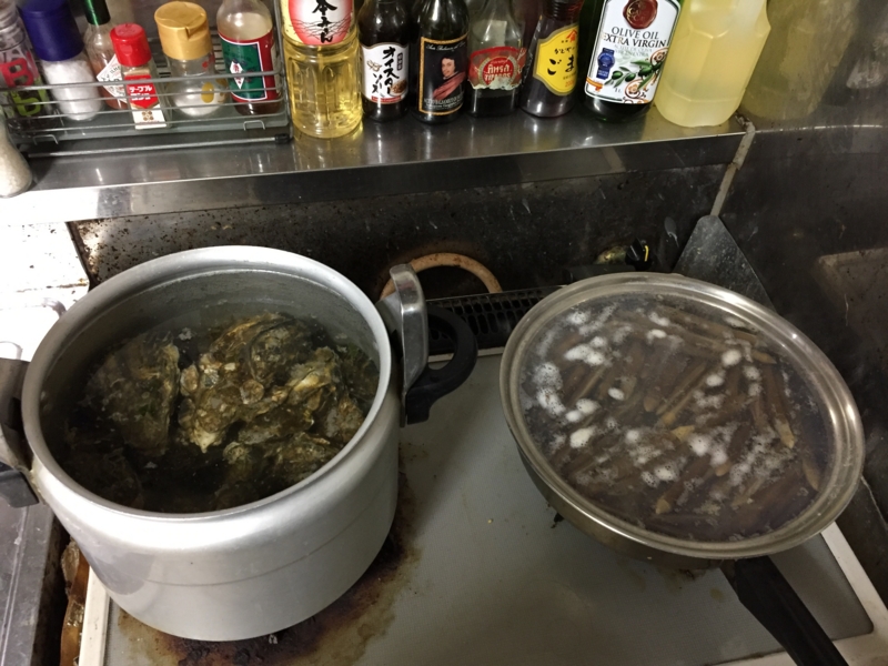 f:id:negineesan:20161231205931j:plain