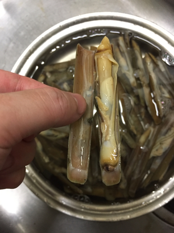 f:id:negineesan:20161231210602j:plain