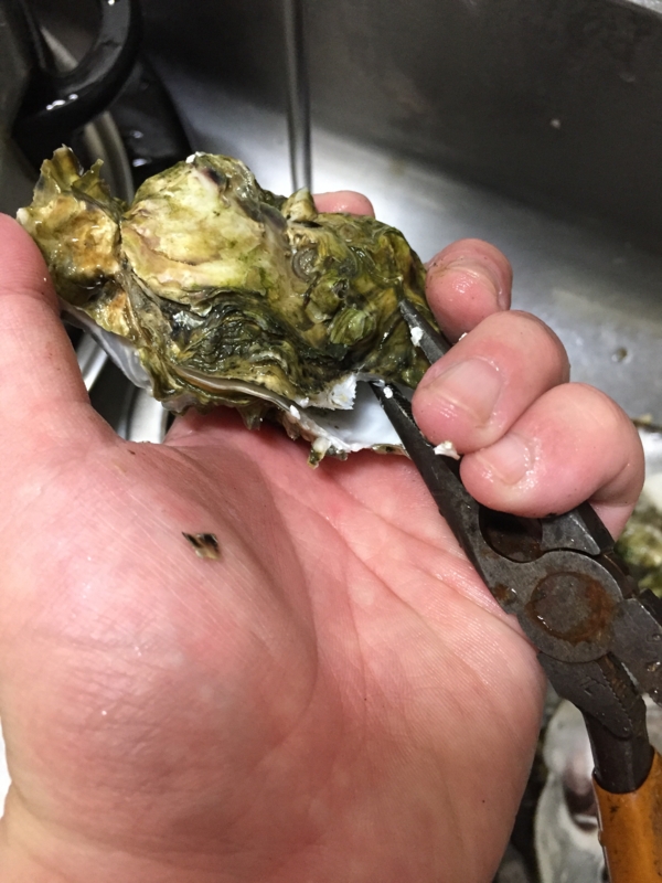 f:id:negineesan:20161231212958j:plain