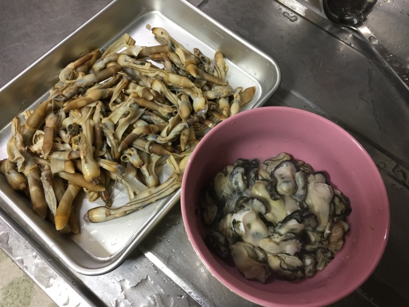 f:id:negineesan:20161231214642j:plain