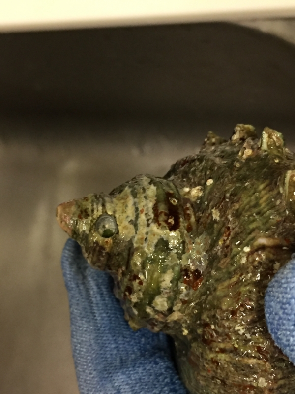 f:id:negineesan:20170412213729j:plain f:id:negineesan:20170412213729j:plain