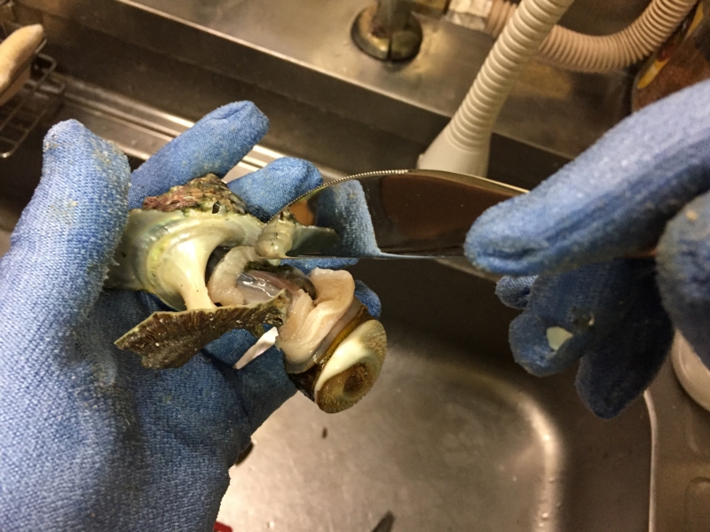 f:id:negineesan:20170412214621j:plain f:id:negineesan:20170412214621j:plain