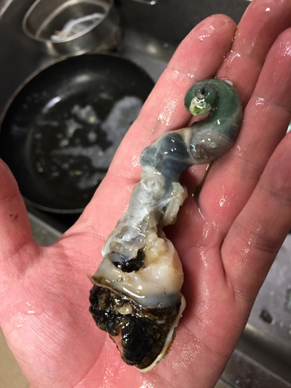 f:id:negineesan:20170412215915j:plain f:id:negineesan:20170412215915j:plain