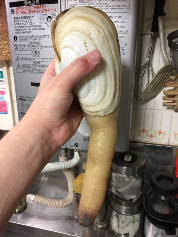 f:id:negineesan:20170412221120j:plain f:id:negineesan:20170412221120j:plain