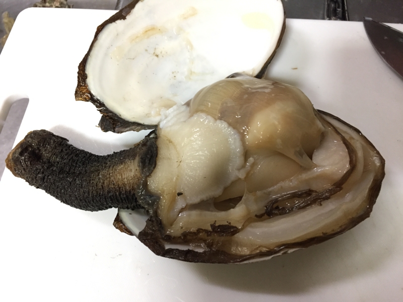 f:id:negineesan:20170412223835j:plain f:id:negineesan:20170412223835j:plain