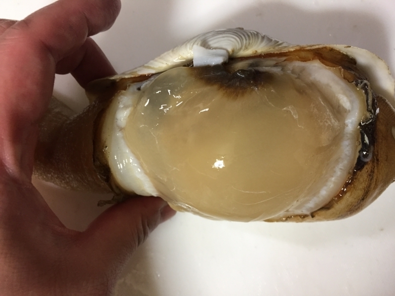 f:id:negineesan:20170509231643j:plain f:id:negineesan:20170509231643j:plain