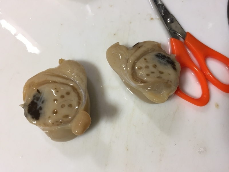 f:id:negineesan:20170509232107j:plain f:id:negineesan:20170509232107j:plain