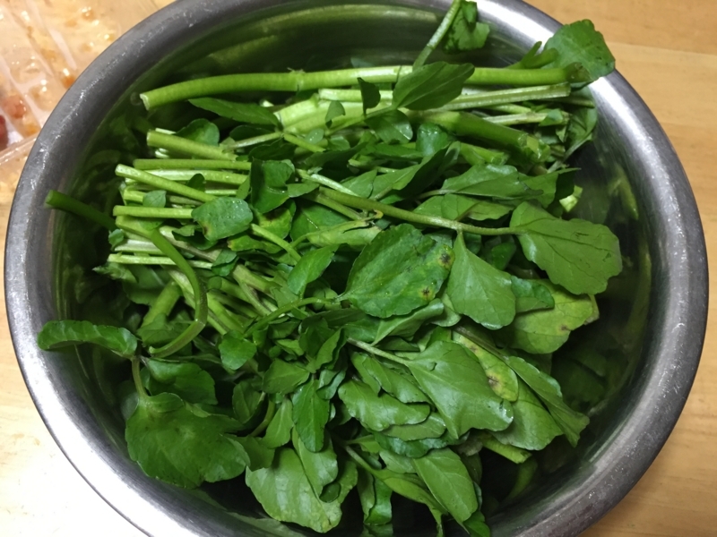 f:id:negineesan:20171224181556j:plain f:id:negineesan:20171224181556j:plain