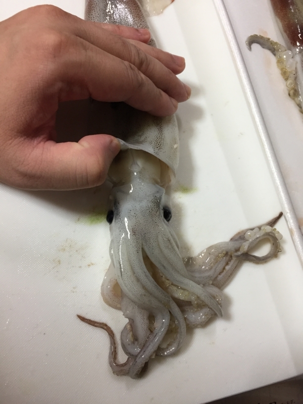 f:id:negineesan:20171224181626j:plain f:id:negineesan:20171224181626j:plain