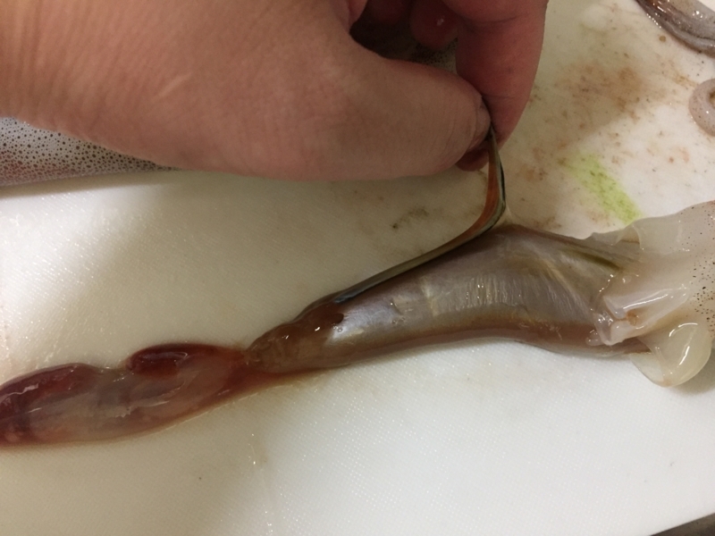 f:id:negineesan:20171224181630j:plain f:id:negineesan:20171224181630j:plain