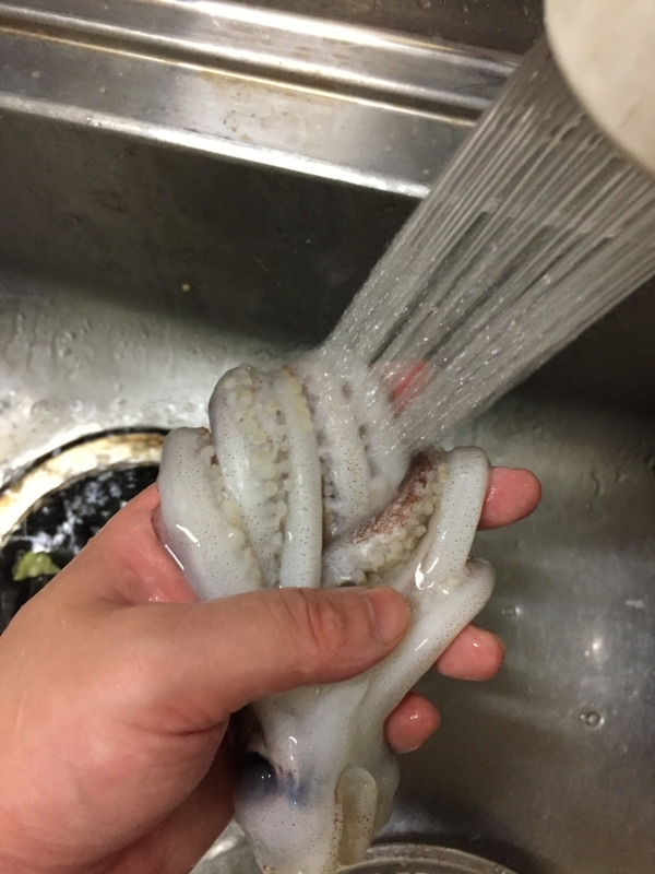 f:id:negineesan:20171224181632j:plain f:id:negineesan:20171224181632j:plain