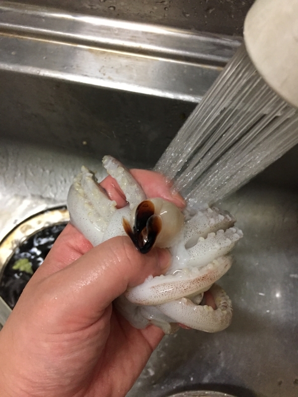 f:id:negineesan:20171224181633j:plain f:id:negineesan:20171224181633j:plain