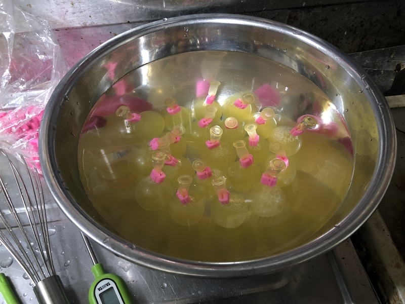f:id:negineesan:20190626132458j:plain