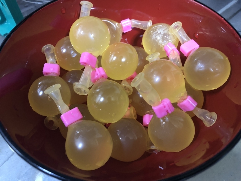 f:id:negineesan:20190626132533j:plain