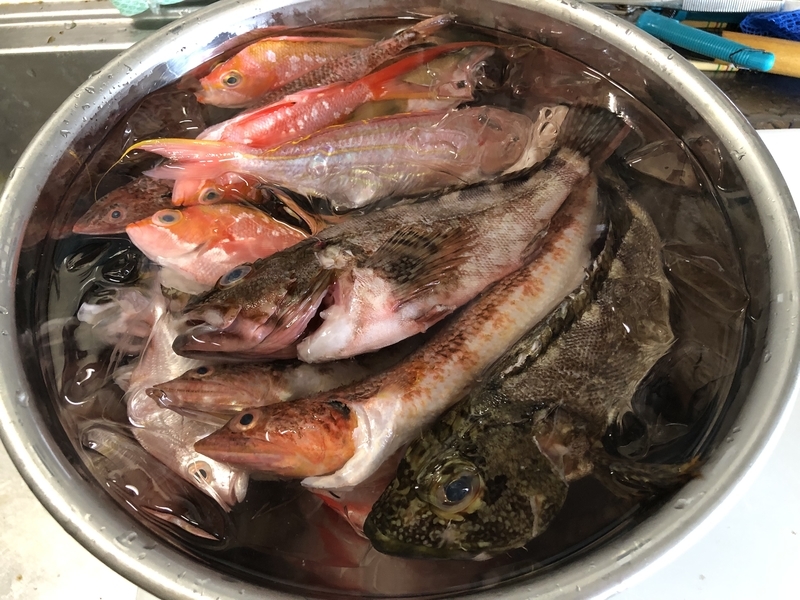 f:id:negineesan:20190818134235j:plain f:id:negineesan:20190818134235j:plain