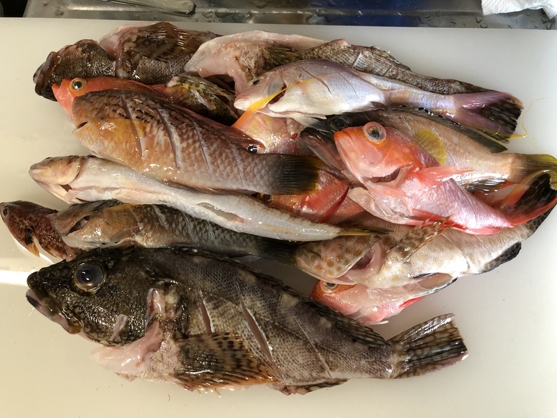 f:id:negineesan:20190818134245j:plain f:id:negineesan:20190818134245j:plain