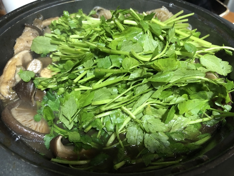 f:id:negineesan:20200120205918j:plain