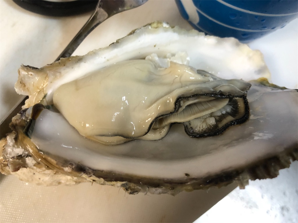 f:id:negineesan:20201127031918j:image f:id:negineesan:20201127031918j:image